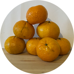 MANDARINO