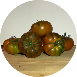POMODORO MARINDA