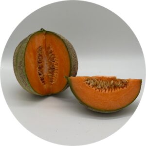 MELONE RETATO