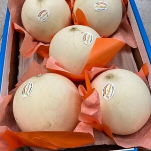 MELONE LISCIO