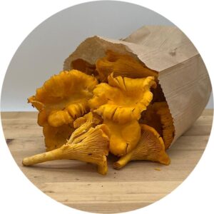 FUNGHI FINFERLI