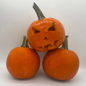ZUCCA HALLOWEEN