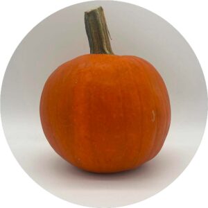 ZUCCA HALLOWEEN